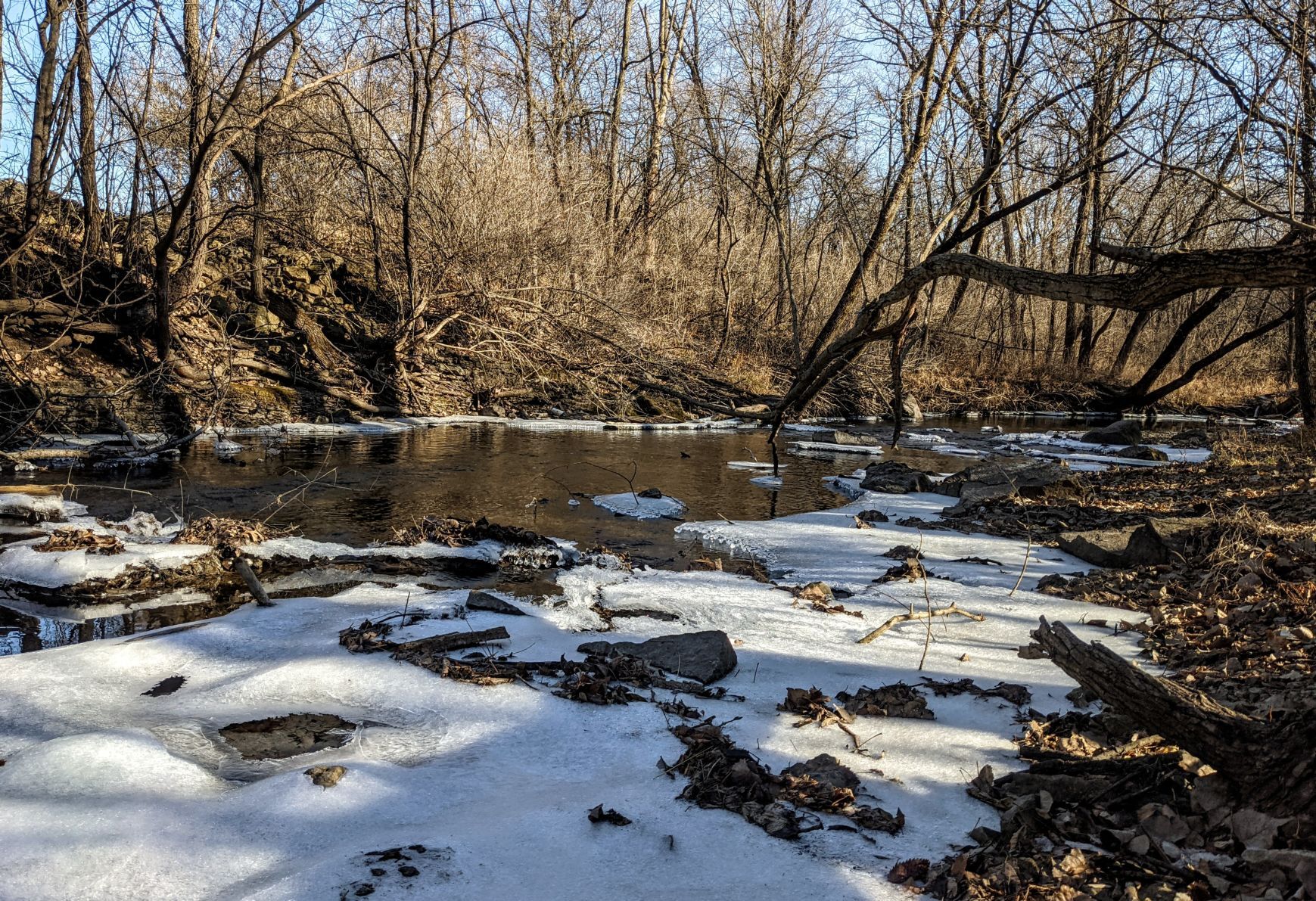 Calmus Creek